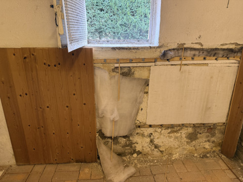 Nasse Wand hinter Holzverkleidung man hat es nur gerochen Schimmel und modriger Geruch